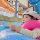 한적하게 즐긴 서울근교 워터파크 남양주 아쿠아조이