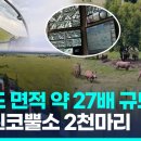 코뿔소농장 연합뉴스