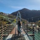 삼육영농조합법인 2농장 | [충북 괴산군] 산막이옛길 유람선 배 타보다..! - 괴산 가볼만한 곳 추천 내돈내산 후기