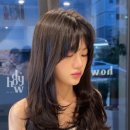 하우디 이미지