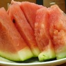 요동목장 이미지