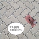코쿤스토리 이미지