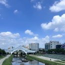 신중앙시장 | 가볼만한 곳 대전 당일여행[대전 중앙시장]중앙시장 먹거리, 대전 전통시장 풍경, 대전 주말 축제...