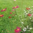 청명세탁 이미지