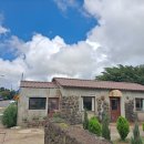 비비엔다 제주 이미지