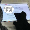 도와세움평생교육센터