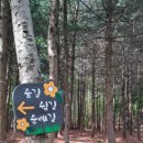 숨길+ 쉼길+ 순례길 이미지