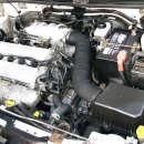 레오오토 이미지