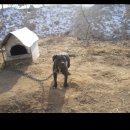 부광주유소 이미지