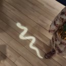 꼭두박물관 | 국립민속박물관(꼭두, 만사형통), 어린이박물관 관람 후기입니다. ^^