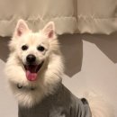 너랑 온 이미지