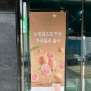 초록상어 이미지