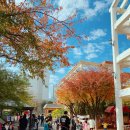 수니유치원 이미지