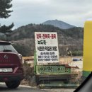 이제 블로그 꾸준히 쓰겠습니다. 사죄의 의미로 뽑기 1000연차를 드리겠습니다!!