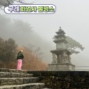전남 구례 화엄사 홍매화, 벚꽃 명소 개화 시기, 봄에 가볼 만한 사찰