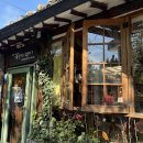 자작나무이야기 이미지