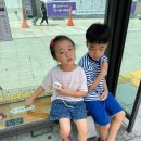슬기로운 동물병원 | 7살, 9살 슬기로운 방학생활 - 집사의 하루 건대점