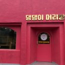 댕댕이 머리방 이미지