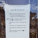 혜자비빔밥 이미지