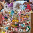 하빛율빠꿈사리 이미지