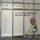온누리헬스케어 하남센터 | 6개월 아기 두상검사 후기｜하니헬멧 하남센터에서 사두·단두 수치 확인과 상담