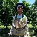 들가운데농장 이미지