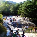 곡성-145 Daum카페