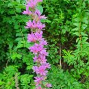 환경교통국 이미지