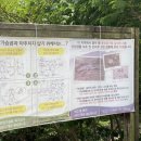 광양 진틀펜션 티스토리