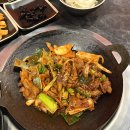 돈본 / 진월동