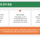 미유펫동물병원