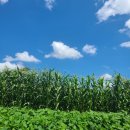 향기로부동산중개 이미지