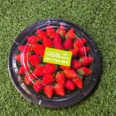 장희농장 이미지