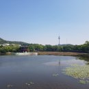 두류공원 스케이트장 이미지