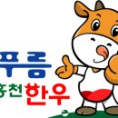 늘푸름개발 이미지