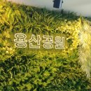 해나루님 문화산책 번개팅! 이미지