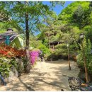 숲속그린펜션 이미지