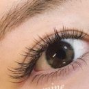 상남동293 이미지