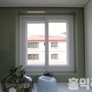 베네스트로즈 이미지