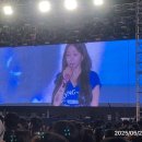 동의대학교 가야캠퍼스 | 동의대학교 효민대동제 후기