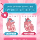 우리펫동물병원 이미지