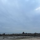 세창과외 | 산책