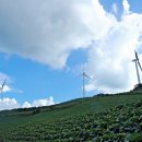 태백농원 이미지