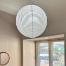 퐁낭아래 1978 이미지