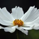 농산물한식뷔페 이미지