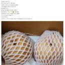 달콤한 맛 신비복숭아 , 성주 농장에서 보내드리는 참외 , 달구나 나주배 이미지