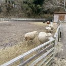 달뜨는목장 이미지