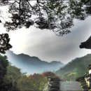 송학사
