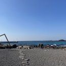 아라파파 이미지