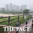 하천(갑천5-1) 이미지